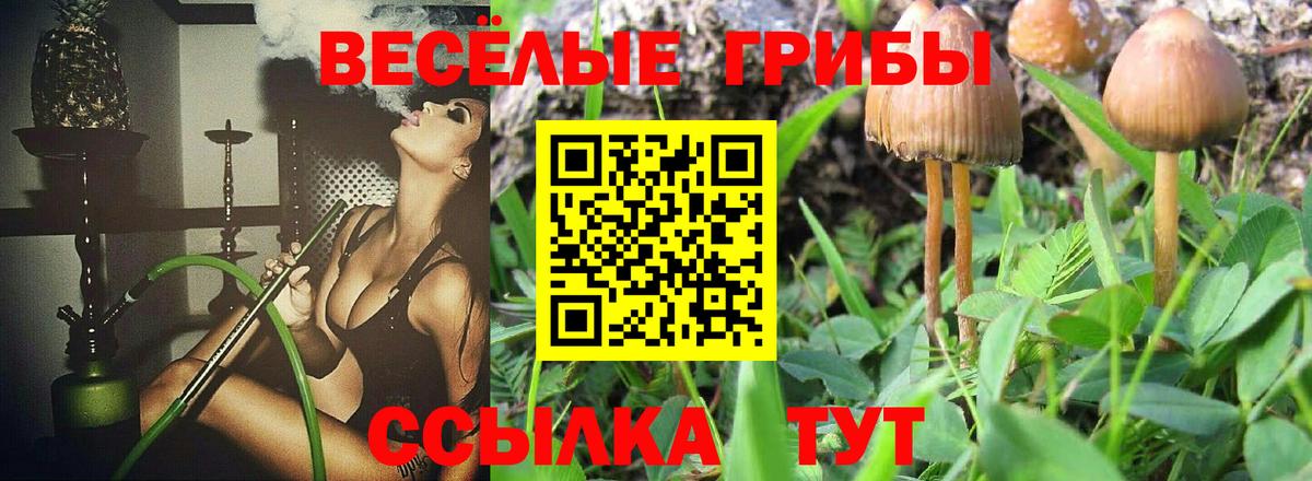 Псилоцибиновые грибы Psilocybine cubensis  Галлюциногенные грибы ЛСД  Минусинск  Вход с VPN 